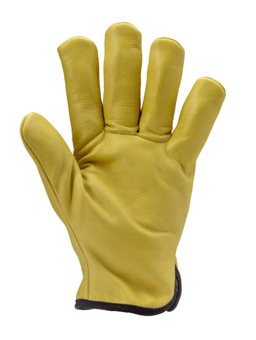 EUROWINTER FINLANDE - Image 2