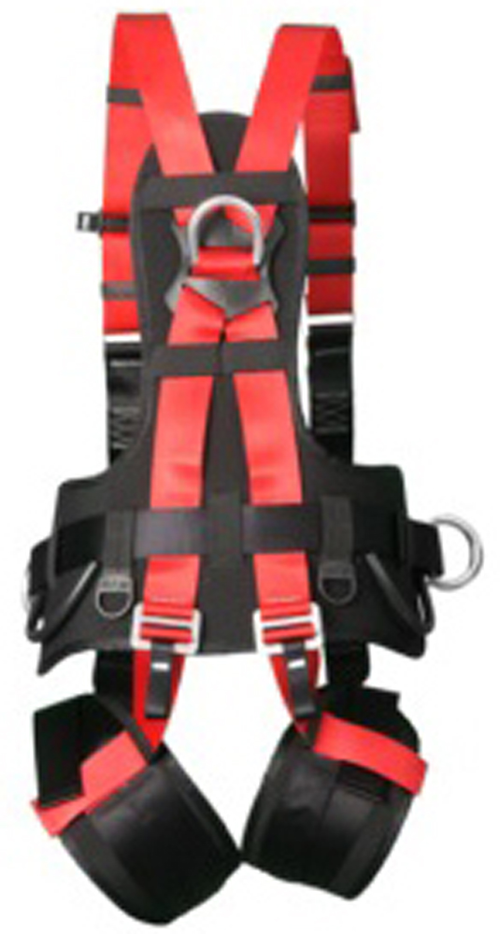 CADO JAGUAR - Image 2