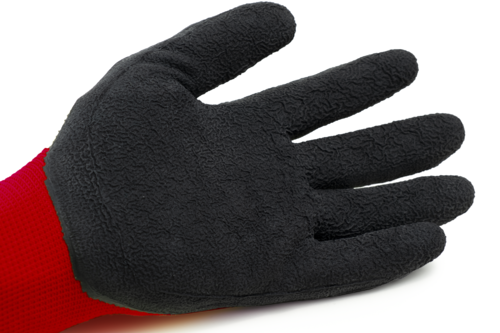 EUROLITE 1LACE - Image 3