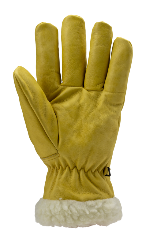 EUROWINTER ISLANDE - Image 2