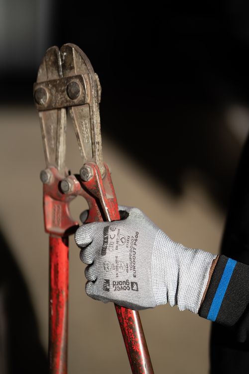 EUROCUT P600 - Image 6