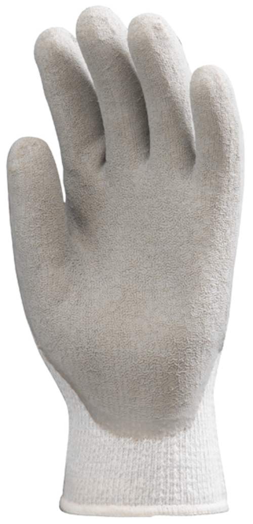 EUROWINTER 3875 - Image 2